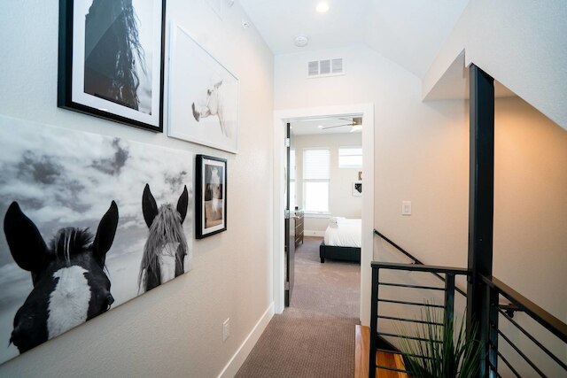 ザ マイル ハイ ボヘミアン リトリート ルーフトップ ビューズ