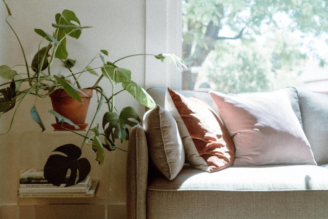 ザ エンチャンテッド フランクリン