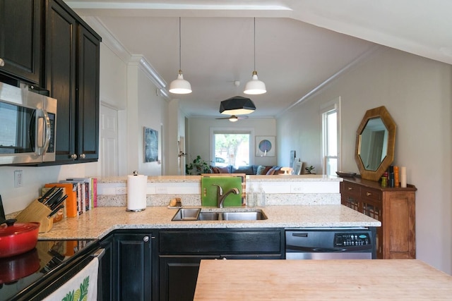 ザ エンチャンテッド フランクリン