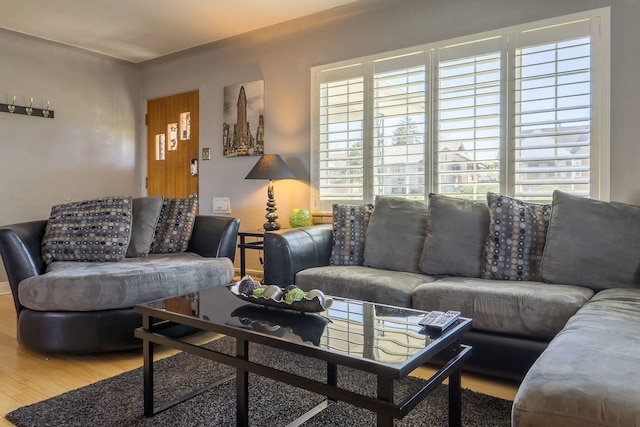 ザ レトロ エスケープ シティ パーク、バスタブとムービーシアター付き