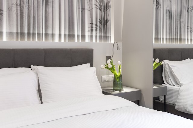 アテネ センター ラグジュアリー スイート