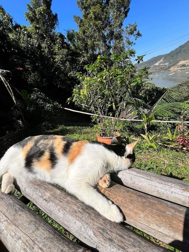 アート カム ホームステイ