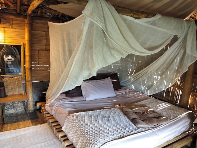 アート カム ホームステイ