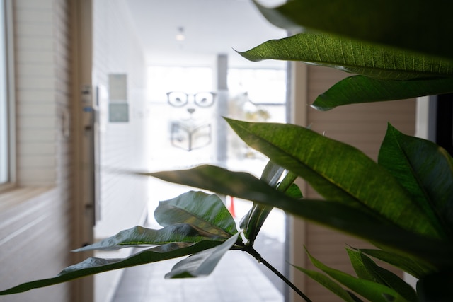 The Peak Villa Suite Hokkaido