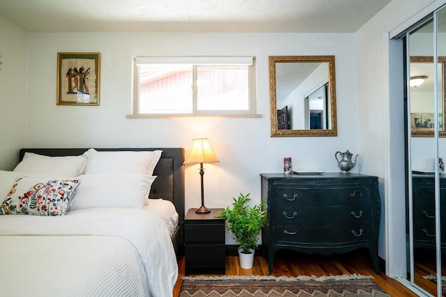 カーサ デ ヘンリチ & ザ デン スペーシャス バックヤード