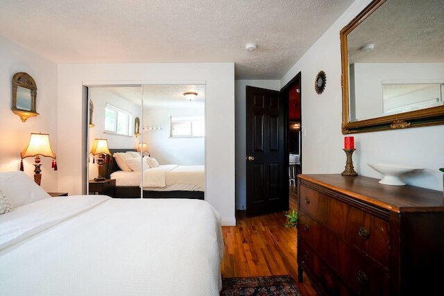 カーサ デ ヘンリチ & ザ デン スペーシャス バックヤード