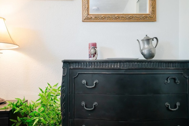 カーサ デ ヘンリチ & ザ デン スペーシャス バックヤード