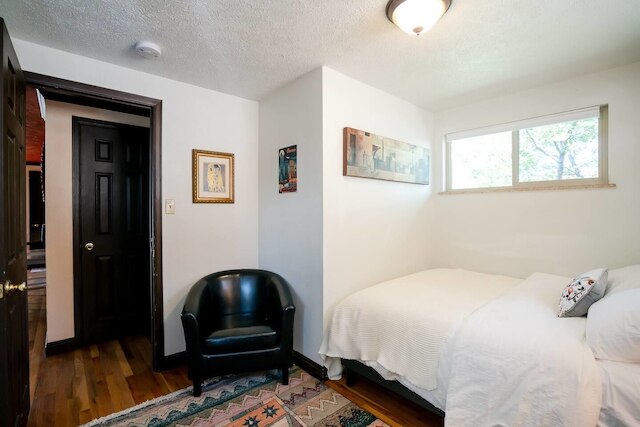 カーサ デ ヘンリチ & ザ デン スペーシャス バックヤード