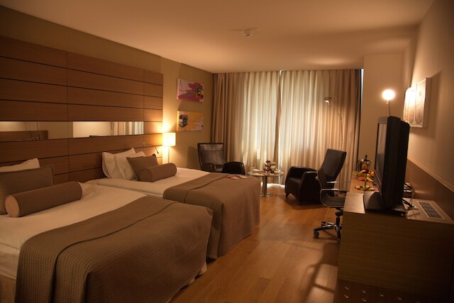 CP アンカラ ホテル