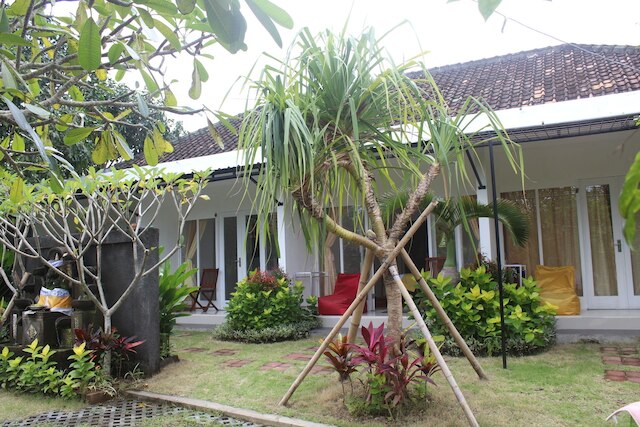 サマー ホームステイ バリ