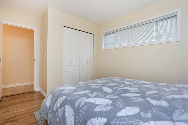 グランド スペーシャス スイート ニア YVR バイ エレベート ルームズ