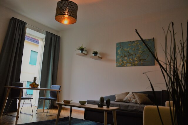 ディモラ パテルノ