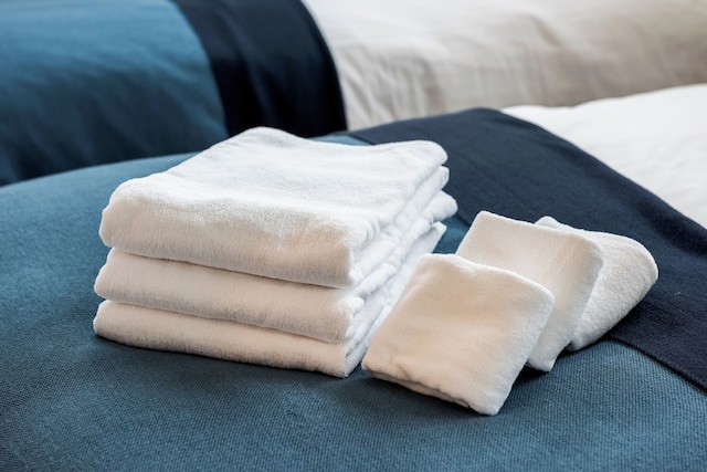 Tsukasa Condo Chatan Araha