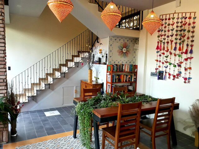 ピンク チューリップ ホイ アン