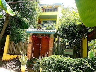 ピンク チューリップ ホイ アン