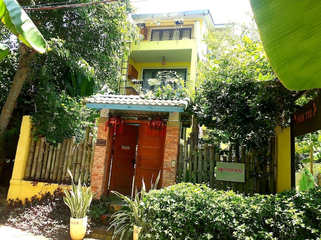 ピンク チューリップ ホイ アン