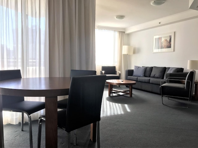 ブリスベン シティ アパートメンツ アルバート ストリート