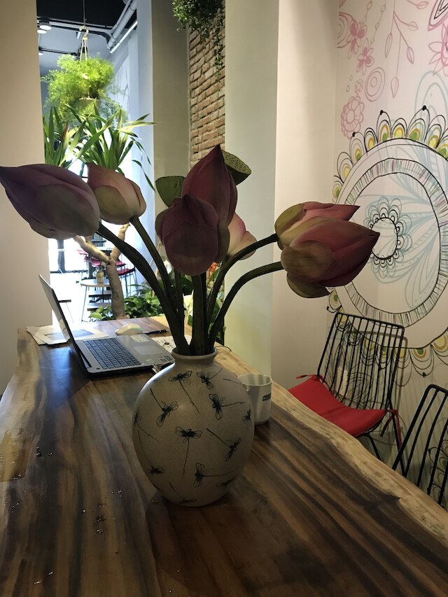 バナナ フラワー ホームステイ