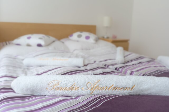 パラダイス アパートメント