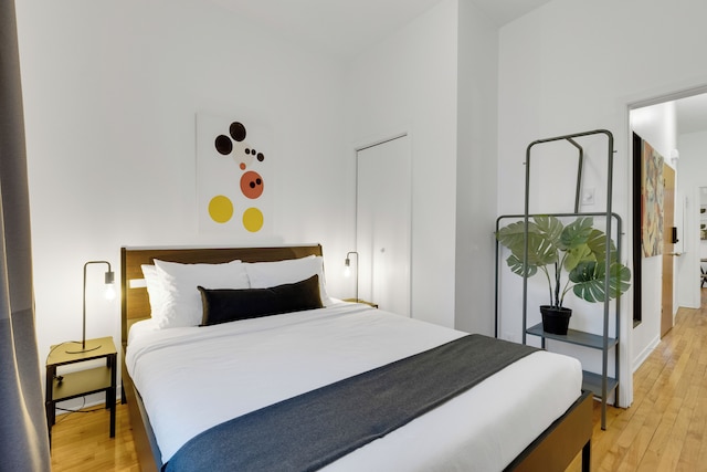 リヴ シタル - アベニュー