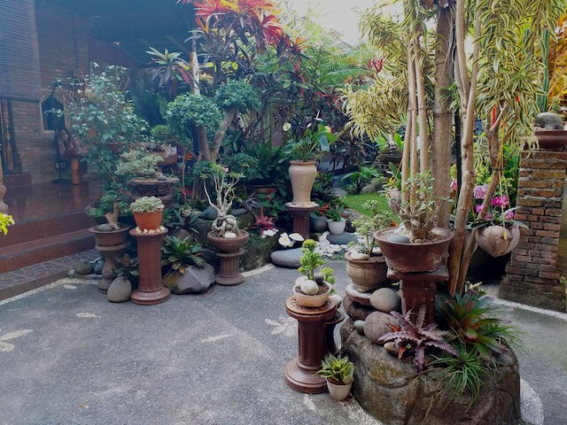 プリ アスリ バンガロー