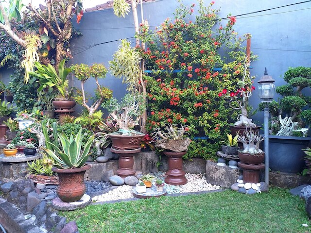 プリ アスリ バンガロー