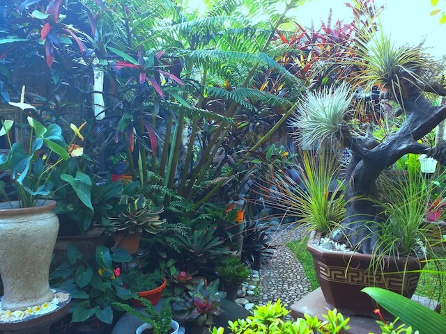 プリ アスリ バンガロー