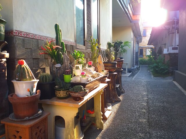 プリ アスリ バンガロー