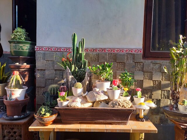 プリ アスリ バンガロー