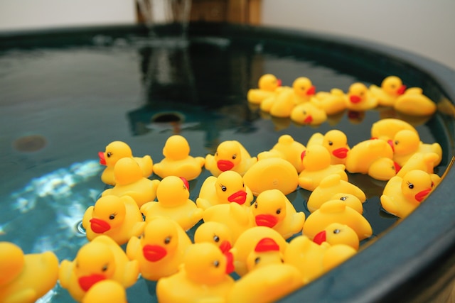 城崎温泉 お宿 白山 花まんだら