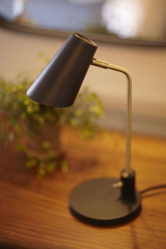 ルーム メイト ライム ツリー