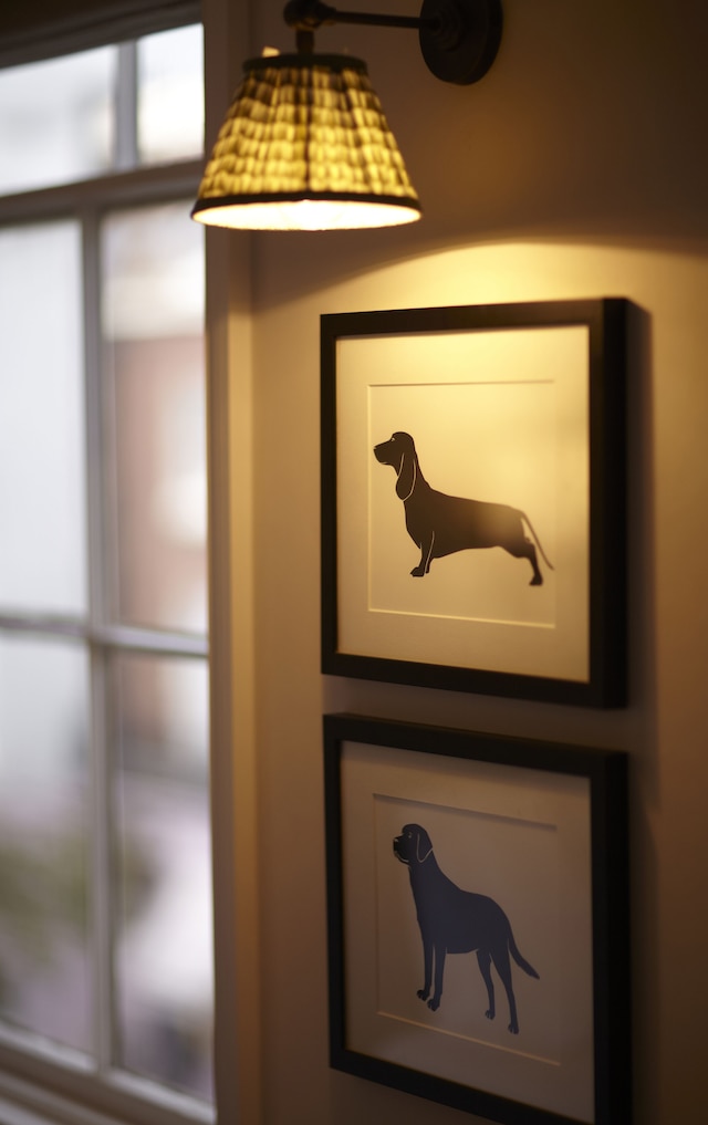 ルーム メイト ライム ツリー