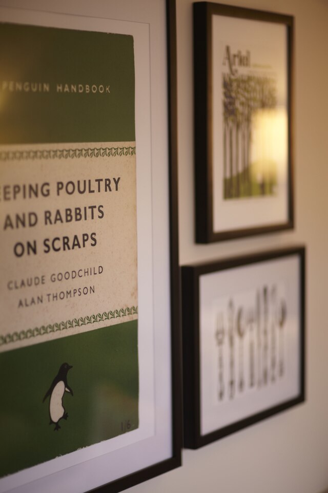 ルーム メイト ライム ツリー