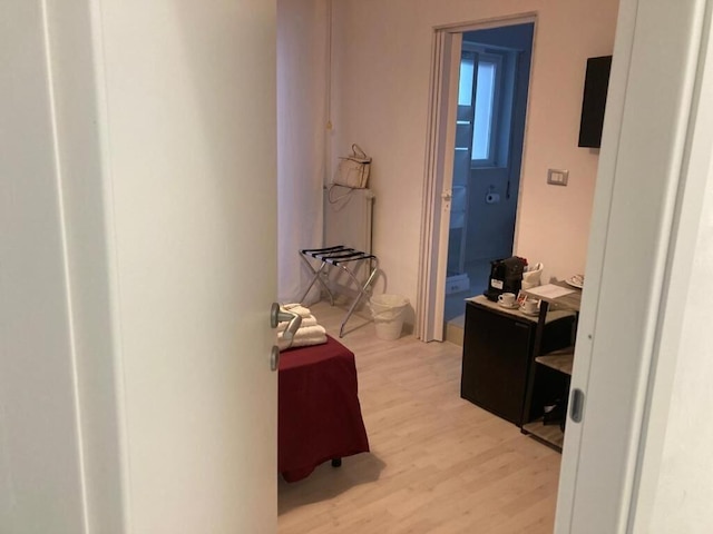 ガット ビアンコ ピコン 19