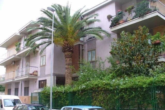 ガット ビアンコ ピコン 19