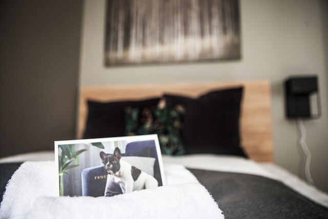 フログナーハウス - ナショナルテアトレ