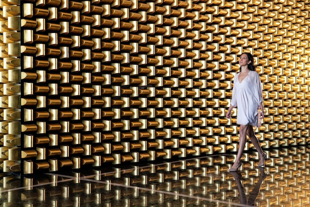 ウォルドフ アストリア ラス ベガス