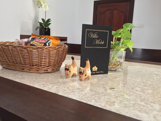 ヴィラ モレック