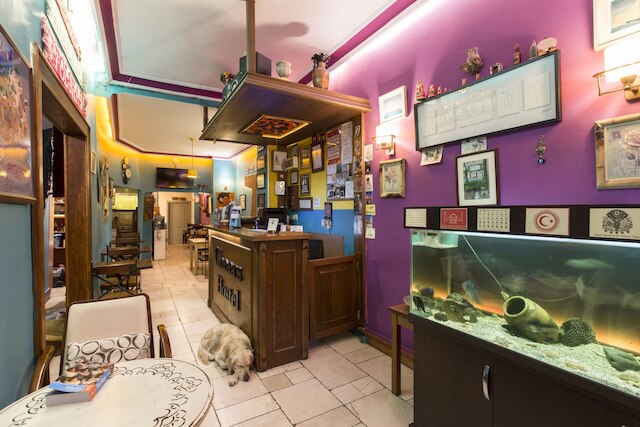 チアーズ ホステル