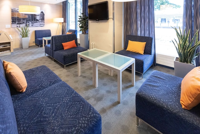 スカンディック ハカニエミ