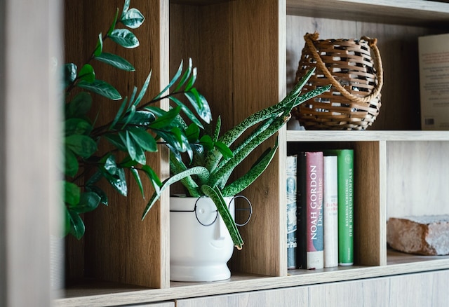 レヴィの部屋とブレックファスト