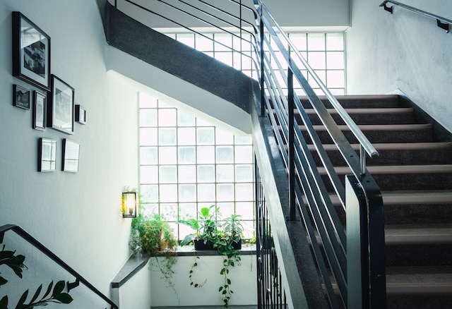 レヴィの部屋とブレックファスト