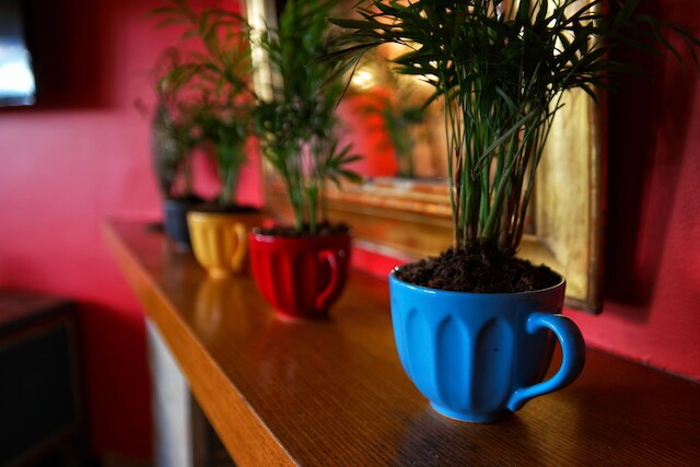 ノマデ オールドシティ