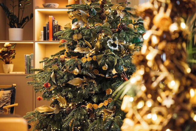 インハビット・クイーンズガーデンズ、デザインホテルズのメンバー