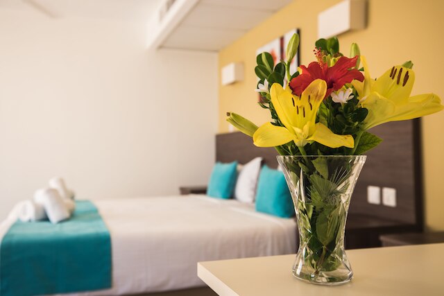 サンシーカー ホリデイ コンプレックス