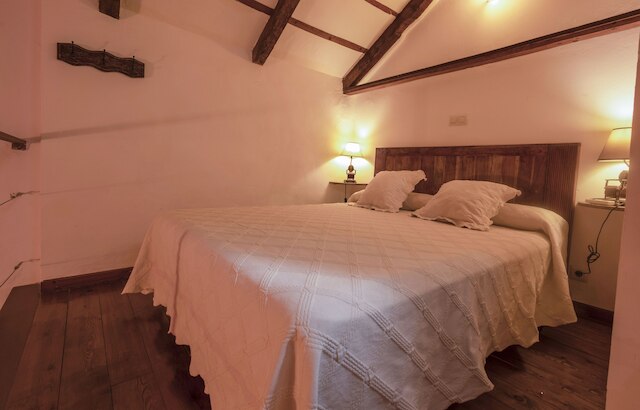 ラヴィダ デ アンテス