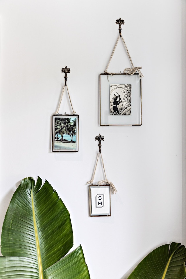 サン マルコ ランドウィック