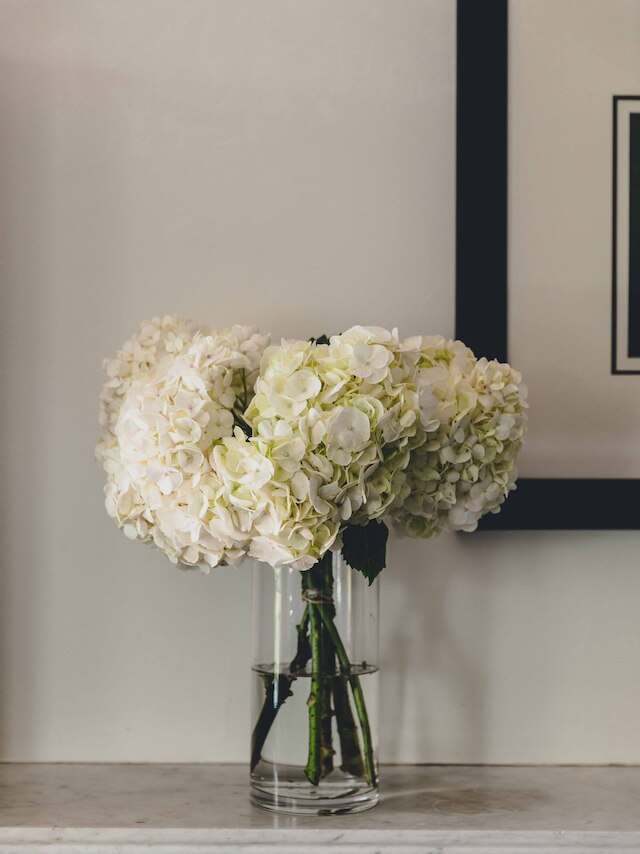 ハイ クロス ランドウィック バイ シドニー ロッジズ