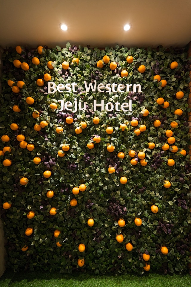 ベストウエスタン ジェジュ ホテル