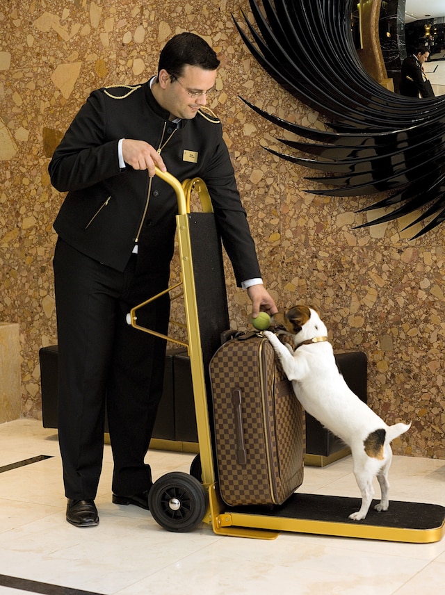 アルティス アベニーダ ホテル